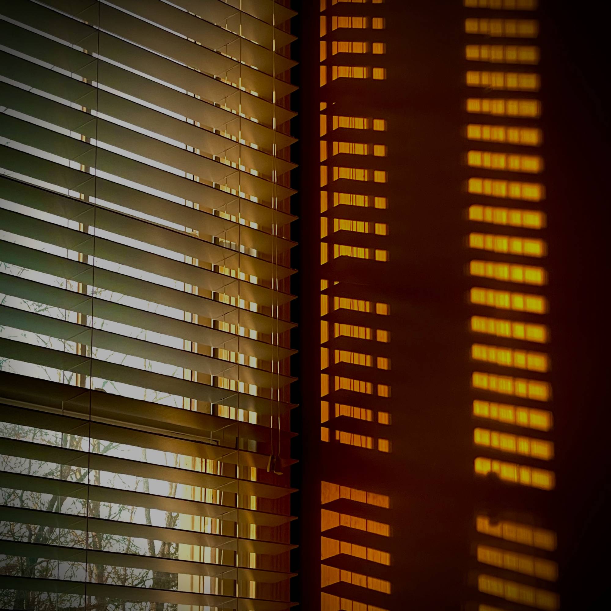 Blinds